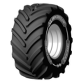 CereXbib 2 CFO+