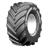 CereXbib CFO