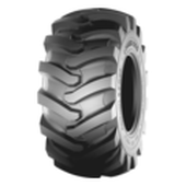 Logger King SF