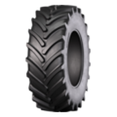 RAG100 (AGRO10)