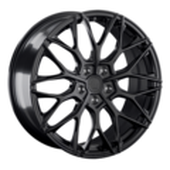 LS FG10