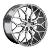 LS FG13