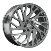 LS FG49R