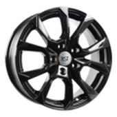 R096 (Skoda, VW)