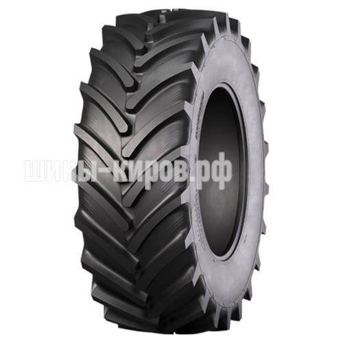 RAG100 (AGRO10) 280/70R16 112A8 TL